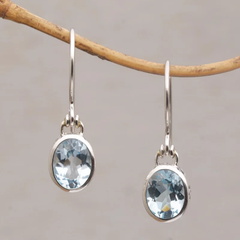 Hoop earrings with a chunky design for a bold and trendy statement-Blue Paws Blue Topaz and Sterling Silver Paw Print Dangle Earrings